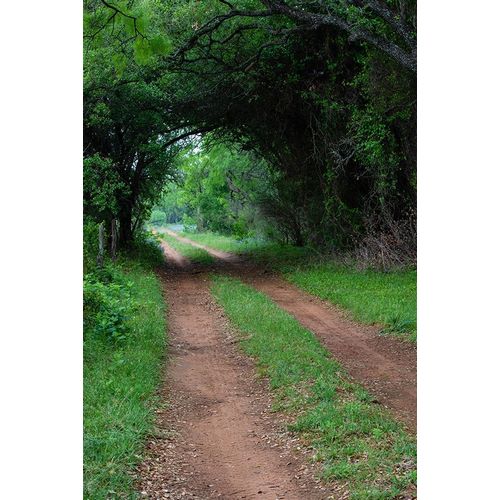Farm road and pathway